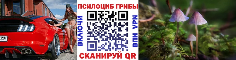 Галлюциногенные грибы Psilocybine cubensis  наркошоп  Александров 