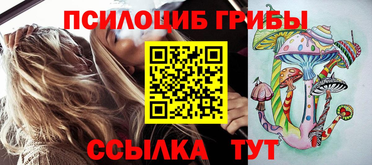 Александров  даркнет сайт  Вход с VPN  Галлюциногенные грибы прущие грибы 