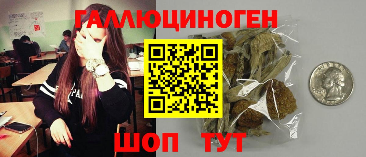 Псилоцибиновые грибы мухоморы Александров